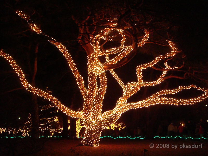 058 Toledo Zoo Light Show [2008 Dec 27].JPG - Scenes from the Toledo Zoo Light Show.